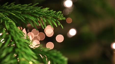 Christmas-Tree-Close-Up