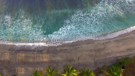 Aerial-Shot-of-Beach-and-Palm-Trees