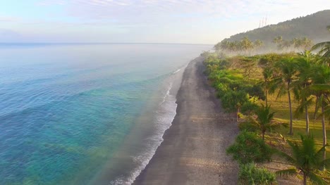 Flying-Through-Palm-Trees-Along-Beach