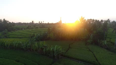 Sunset-Over-Indonesian-Farmland