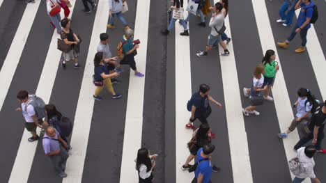 View-of-Pedestrian-Crossing-Taiwan